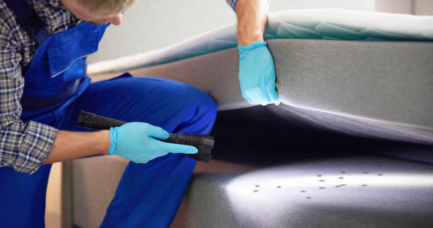 Best Best Pest Control Companies  in Mukilteo, WA