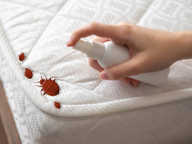 Flea Control Services in Mukilteo, WA